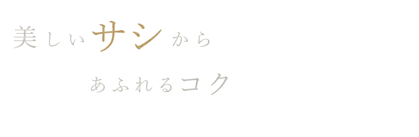 美しいサシから